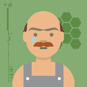 Avatar của Hoàng Như Sơn